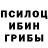 Галлюциногенные грибы мухоморы Mukola Veresen