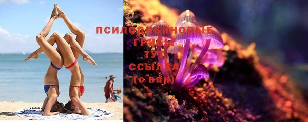 трава Наволоки