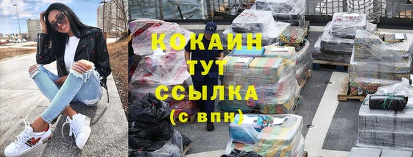 хмурый Бикин