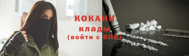 трава Наволоки