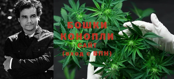 трава Наволоки