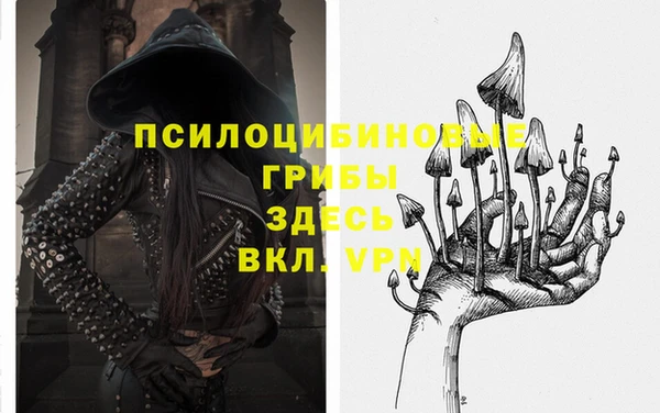 трава Наволоки