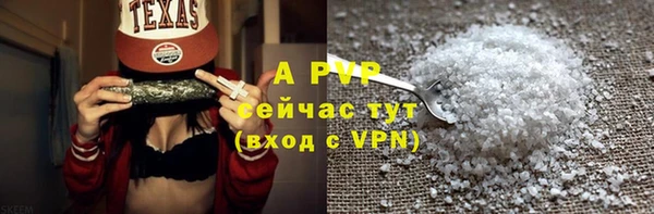 хмурый Бикин