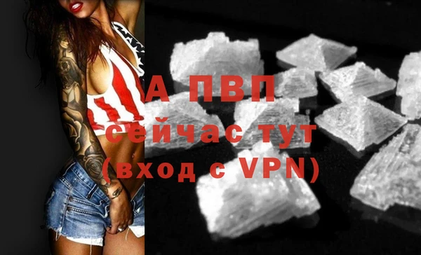 трава Наволоки